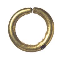 金環