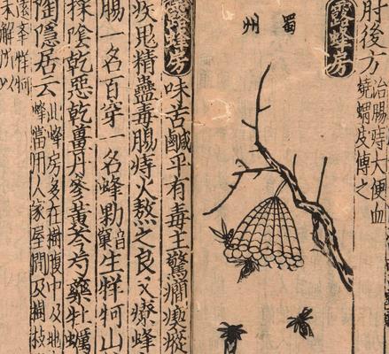 〔新編類要〕図註本草