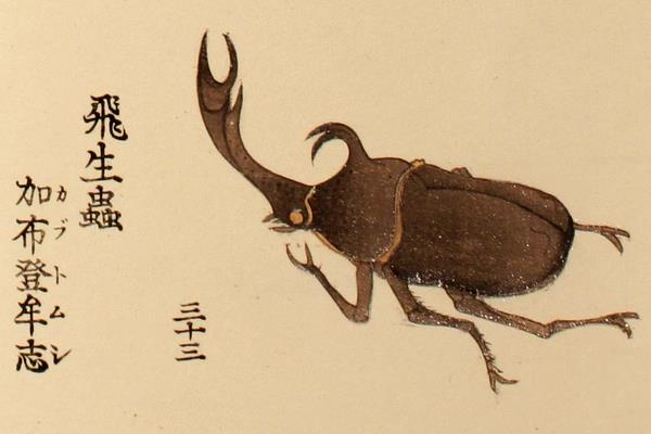 百虫詩画