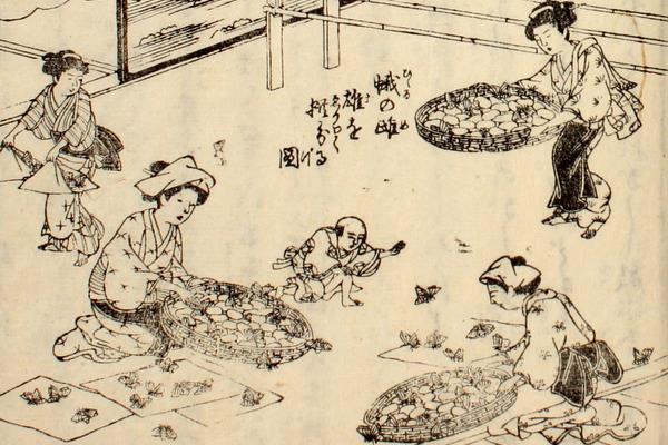 養蚕秘録