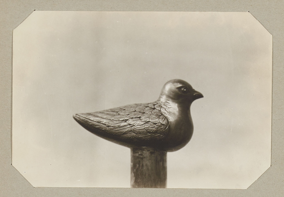 鳩杖の写真